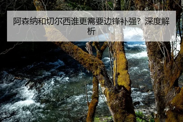 阿森纳和切尔西谁更需要边锋补强？深度解析