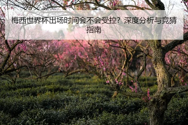 梅西世界杯出场时间会不会受控？深度分析与竞猜指南